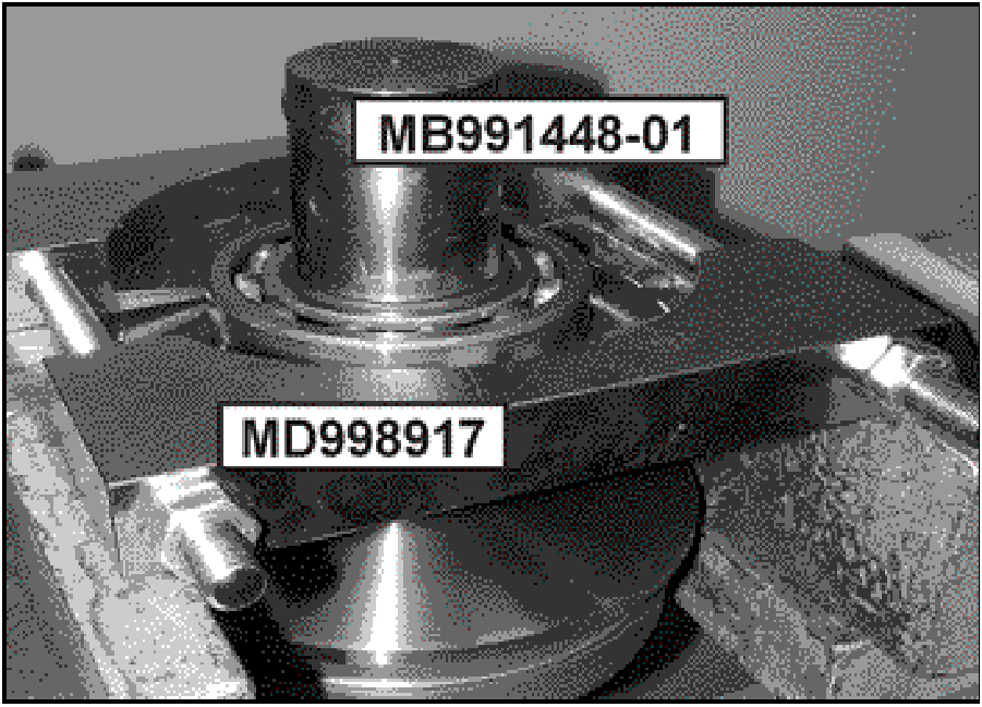 520065657_graphic-text236